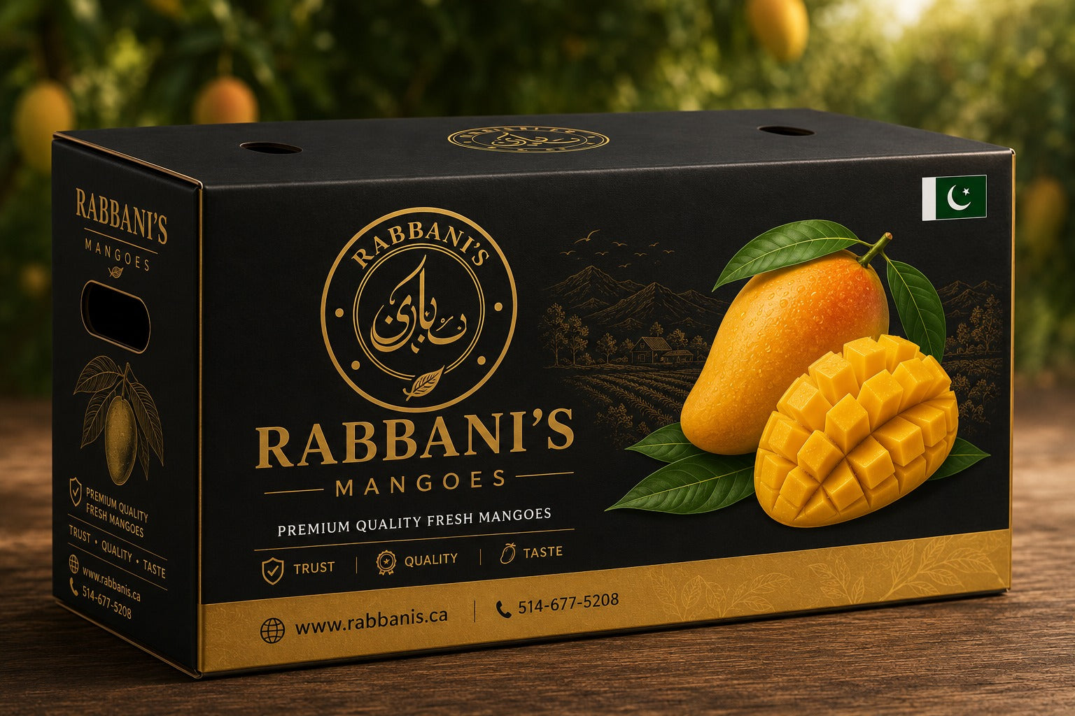 Chsunsa Mangoes Large box